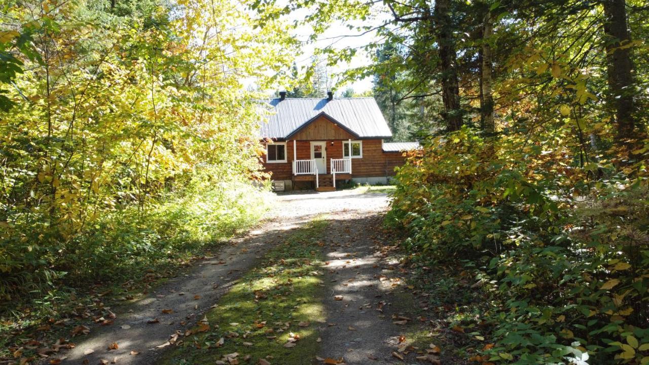 Chalet Riviere - Bord De Riviere - Romantique 圣亚历克西德蒙 外观 照片